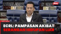 ECRL: Pampasan untuk orang kampung rugi serangan hidupan liar