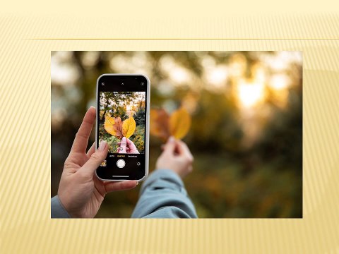 Yvette Heiser Texas: A Complete Guide to Mastering Phone Photography
