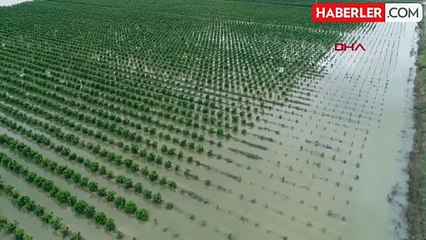 Tarım ve Orman Bakanlığı'ndan atıl durumdaki araziler için toplulaştırma hamlesi