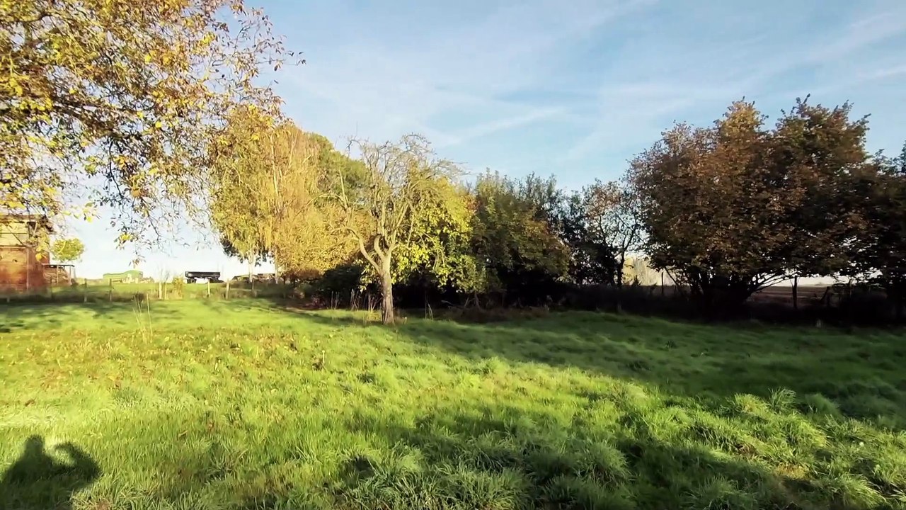 + + MEUCHA RUNDGANG GRUNDSTÜCK IV + +