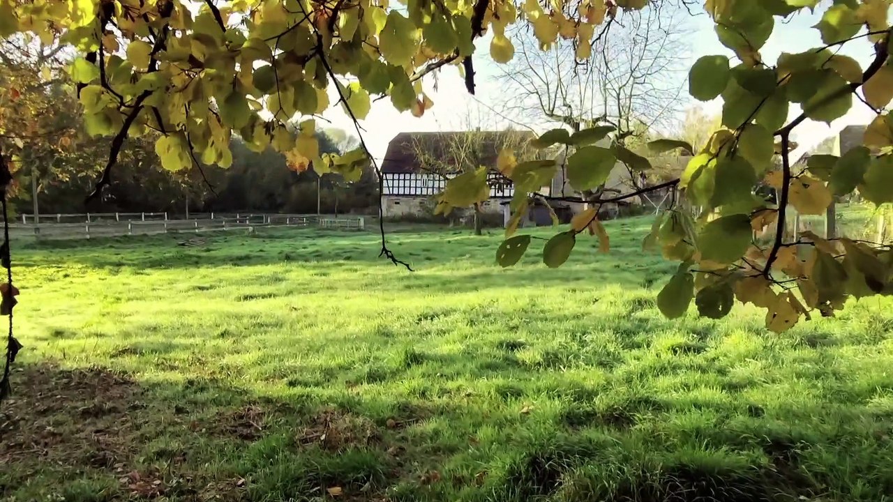 + + MEUCHA RUNDGANG GRUNDSTÜCK III + +