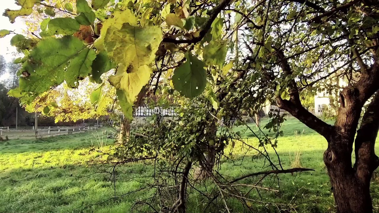 + + MEUCHA RUNDGANG GRUNDSTÜCK I + +