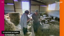 Un couple se sépare dans L'amour est dans le pré 2024 ! L'hygiène de l'agriculteur remise en cause... (SPOILER)