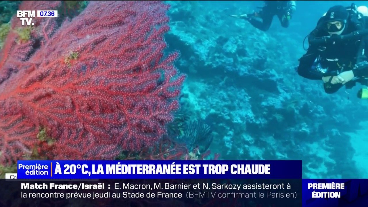 "Tropicalisation" de la Méditerranée: la grande bleue atteint les 20°C en plein mois de novembre