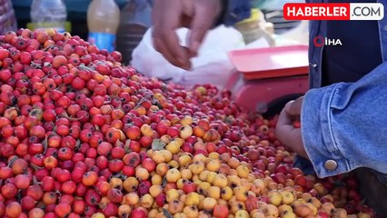 Erzincan'da Seyyar Doktor Dağ Bitkileriyle Şifa Dağıtıyor