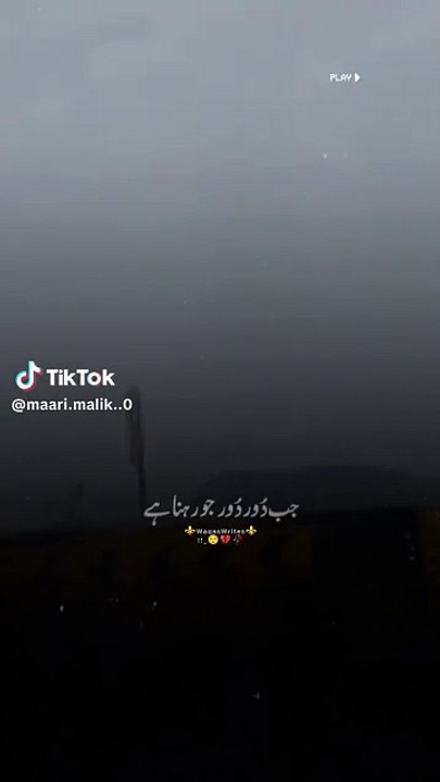 Entertainment video