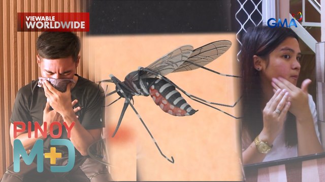 Paano maiiwasan ang lung cancer, malaria at iba’t ibang sakit sa balat? | Pinoy MD