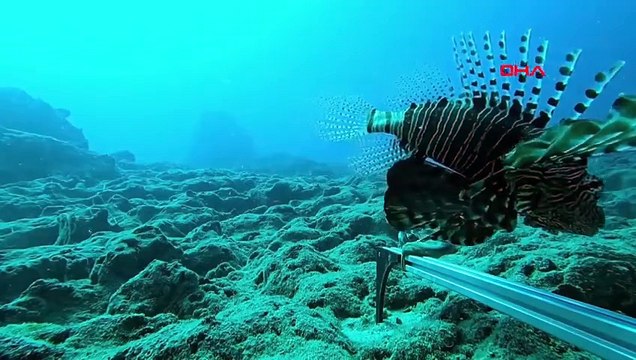 Akdeniz, Ege ve Marmara'nın ardından Karadeniz'in derinliklerinde de alarm çanları çaldı