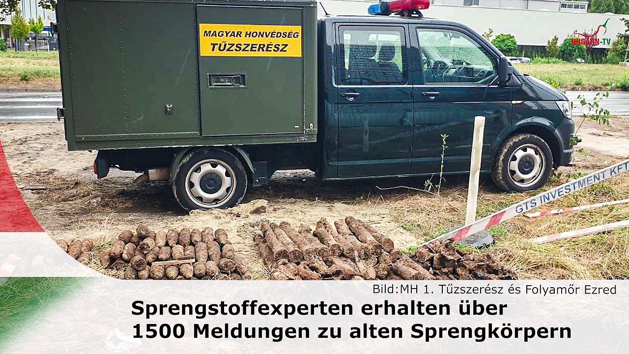 hallo ungarn – Kurznachrichten am 12.11.2024