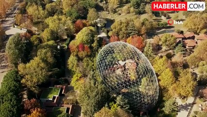 Maket Ayı, Bursa Hayvanat Bahçesi'ndeki Boz Ayıları Şaşırttı