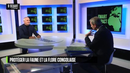 SMART IMPACT - Emission du mardi 12 novembre