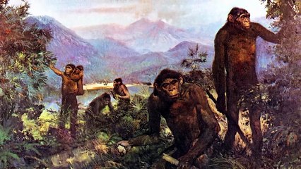 STRANGE Things Found in Caves