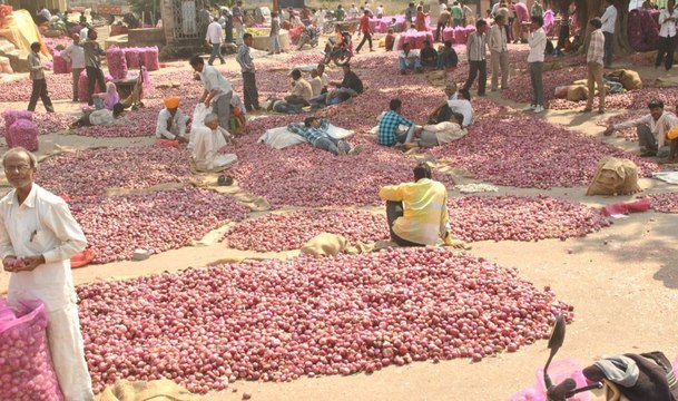 बढ़ने लगे भाव तो कृषि उपज मंडी में भी बढ़ रही लहसुन-प्याज की आवक