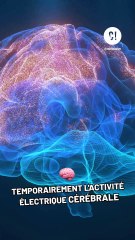 Le téléphone portable cause-t-il des cancers ? Découvrez la vérité 📱