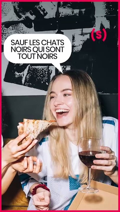 SIMONE - DÉCRYPTAGE : "La nuit les chats sont gris" : wtf ?