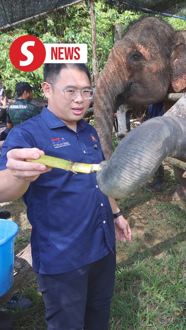 ⁣Johor planning to set up food banks to address human-elephant conflicts