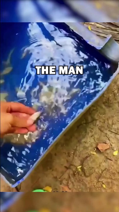 OTTER RESCUE! #animals #animalstories #pets #cute #animalrescue