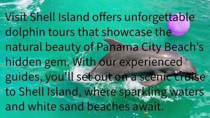 Visit Shell Island 2029 Twin Oaks Drive, Panama City Beach, FL 32408 (850) 756-7585