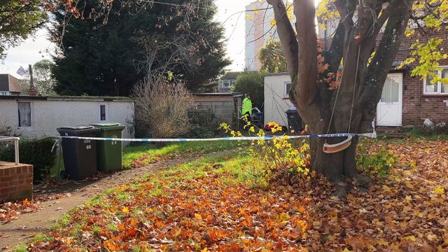 Incident in St Leonards on November 11, 2024