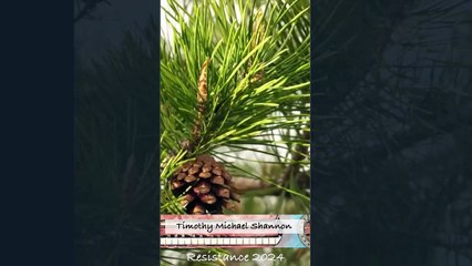 A snap of Truth from Timothy Michael Shannon | Resistance | Lofi