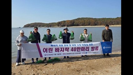 [인천] 무의도 해역에 어린 바지락 40만 마리 방류 / YTN