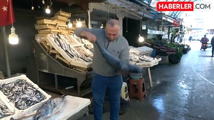 Mersin'de 18 Kilogramlık Torik Balığı Bin 500 TL'ye Satıldı
