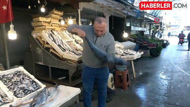 Mersin'de 18 Kilogramlık Torik Balığı Bin 500 TL'ye Satıldı