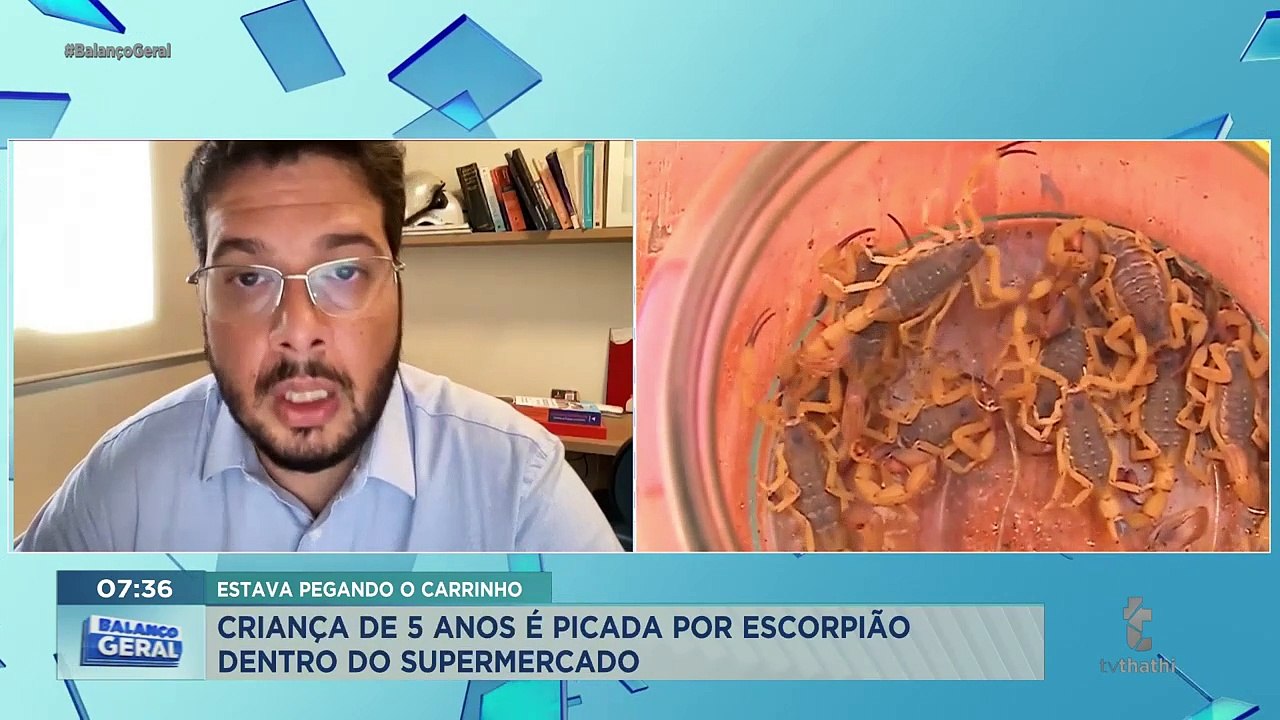 Criança de cinco anos e avó são picadas por escorpião em supermercado