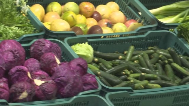 ¿Las lluvias han afectado la producción en Tierras Altas?