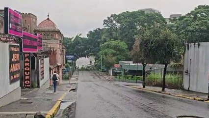 tn7-caida-de-arbol-bloquea-salida-a-ruta-32-121124