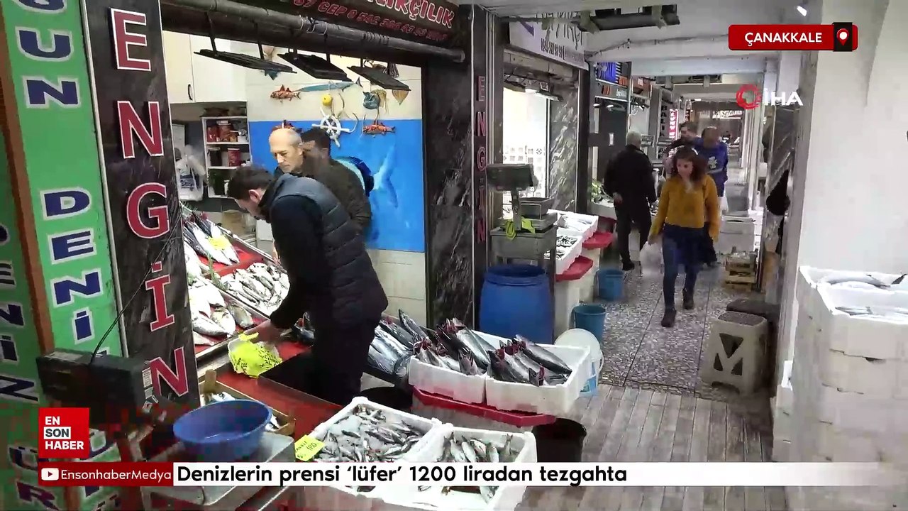 Denizlerin prensi 'lüfer' 1200 liradan tezgahta
