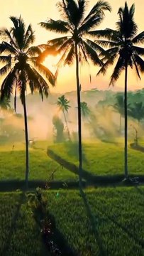 pemandangan yang indah 1