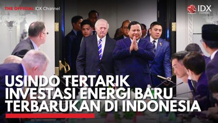 Usindo Tertarik Investasi Energi Baru Terbarukan di Indonesia