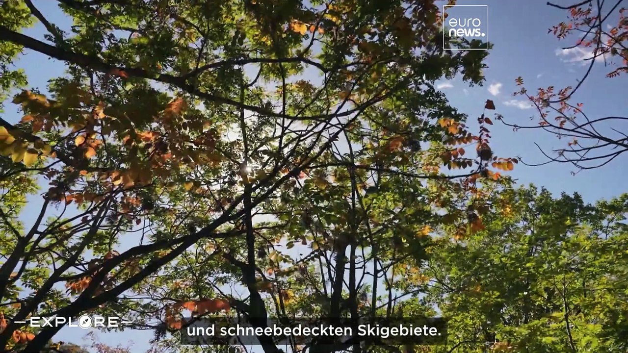 Die Ainu-Kultur in Hokkaido: Vom Upopoy-Museum und dem Marimo-Festival zu den Eingeborenenritualen