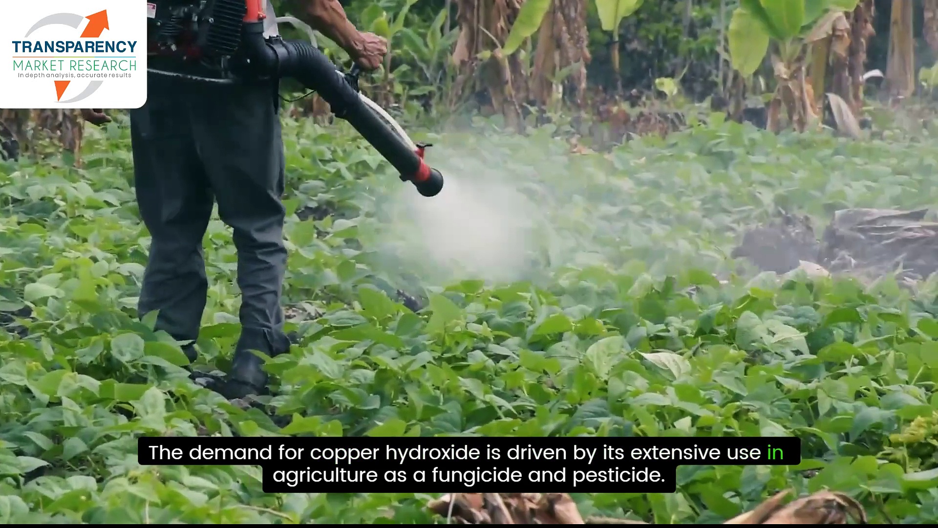 Copper Hydroxide Market