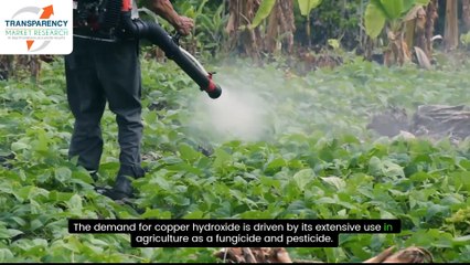 Copper Hydroxide Market