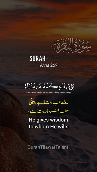 Surah baqrah ayat 269 | beautiful recitation of Quran | #quran #qurantilawattalent #trendingreels #ytshorts #music #reels #quranrecitation #recitation #viral #trending #Quran