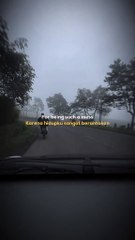 l'M SORRY MOM AND DAD SING🥲