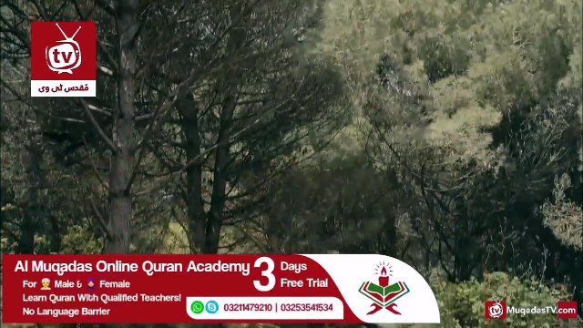 کیا ہی خوبصورت سین تھا جب عثمان صاحب منگول کمانڈر نائمان اور تیکفور کے جال میں پھنس گیا 😡 اور پھر بالا خاتون نے وقت پر پہنچ کر عثمان صاحب اور بچوں کی جان بچا لی 😍 کسی کی بالا جیسی بیوی ہو تو اس کو کیا فکر دشمنوں کی! ❤️