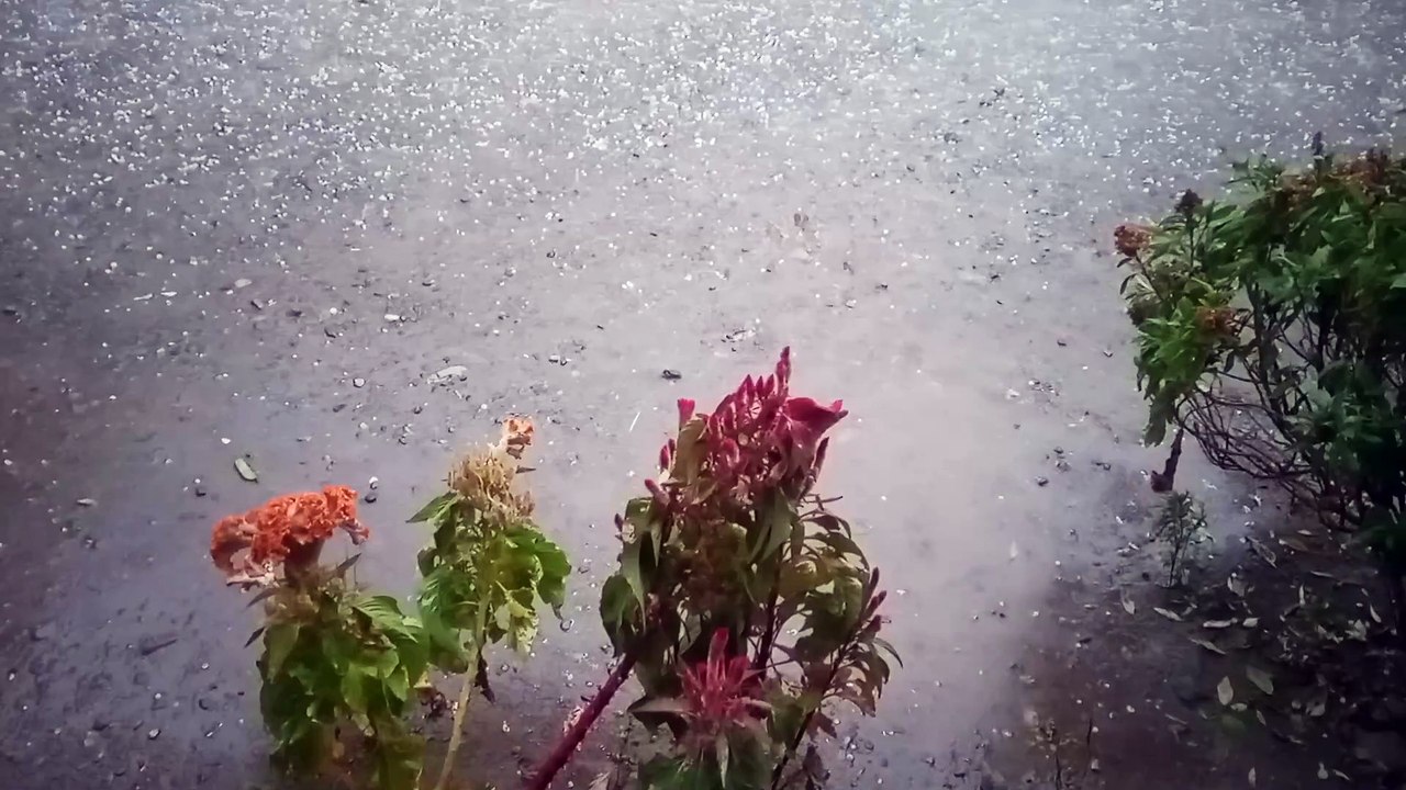 Heavy Rainfall and Hail Amazing Nature View video