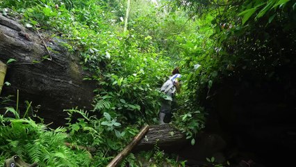 CAMPPING ALONE IN THE FORERT | BUSHCRAFT TRIP | BUILDING WARM BUSHCRAFT SURVIVAL SHELTER IN CAVE | ASMR