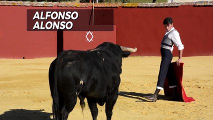 ALFONSO ALONSO TORO A PUERTA CERRADA