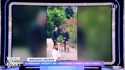 Emmanuel Macron présente ses deux nouveaux chiens et fait le buzz !