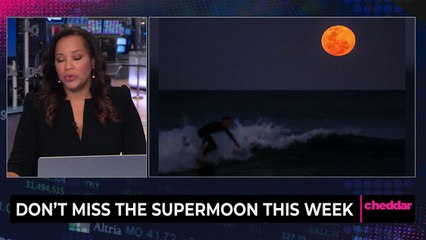 Don't Miss The Supermoon This Week