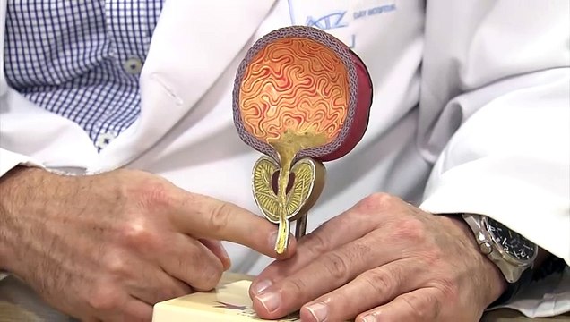 Novembro Azul: campanha para prevenção do câncer de próstata destaca importância do diagnóstico precoce