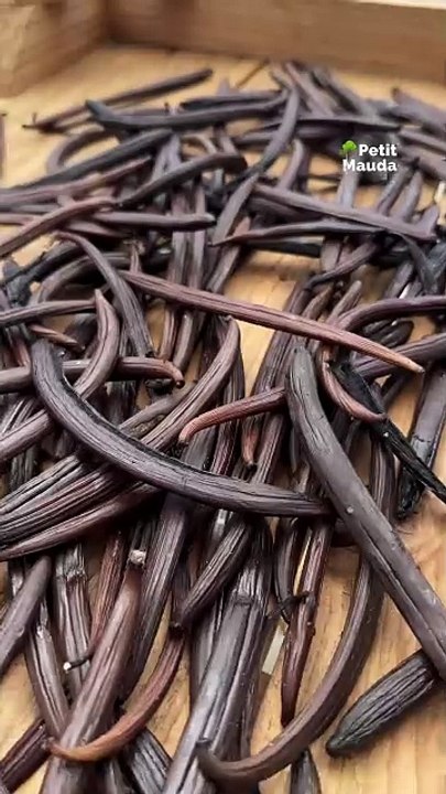 Envie de découvrir un secret de la Réunion ? 🌱  🌸 Direction La Vanilleraie pour plonger dans l’univers de la vanille ! 🍦  🌿 Promenade au cœur des champs, découverte de la culture de la vanille, et bien sûr, des dégustations qui vont régaler tes papill