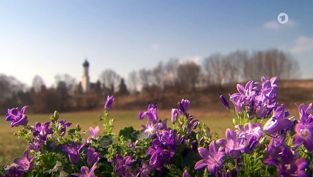 Sturm der Liebe 4319 folge