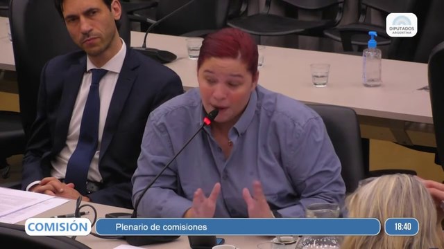 La Fundación Morelli expuso en Diputados ante la Comisión por el proyecto de Ley de Bases