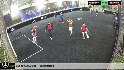 But de Alexandre H - Les Puristes