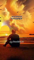 YouCut_20241112_084618418 lovely nice song